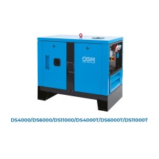 GENERATORE  DI ELETTRICITA' CGM  SERIE QUIET DIESEL  DS DA 3000 GIR ,SILENZIATO, DA 3,6 KW A 16 KW