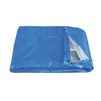 TELO IN POLIETILENE PESANTE ANELLATO BORDATO, BICOLORE VERDE- BLU FERVI 028X